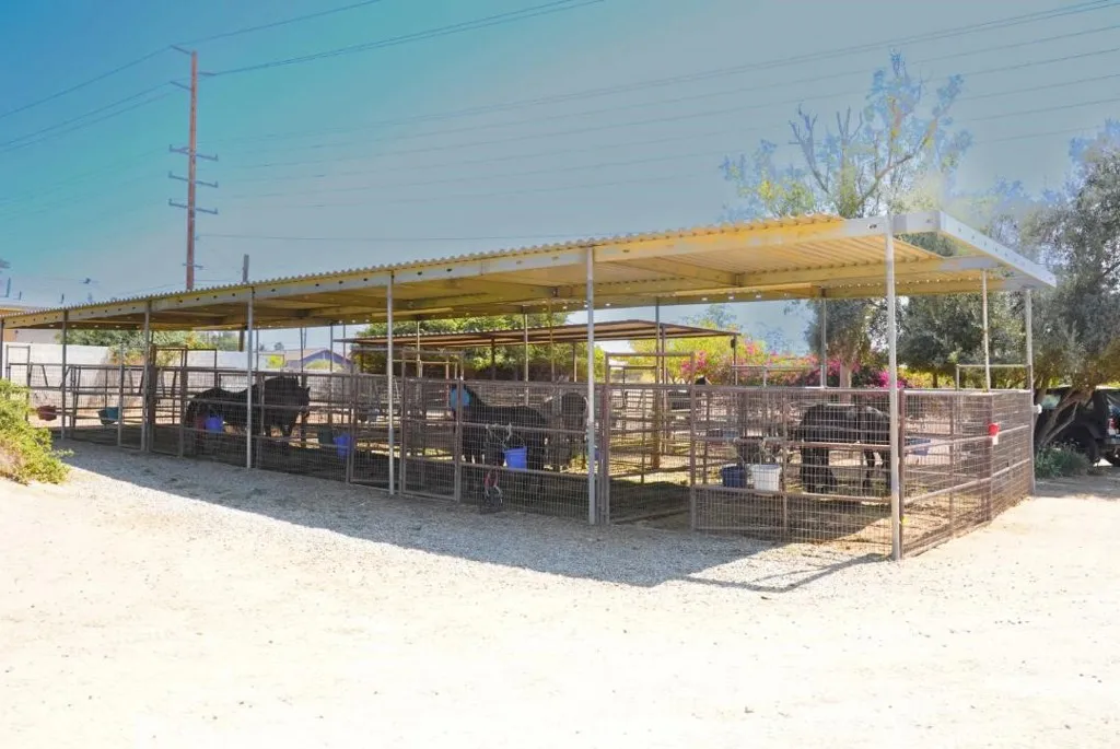 Additional image 89 of 21390 Oleander Ave, Perris, CA 92570