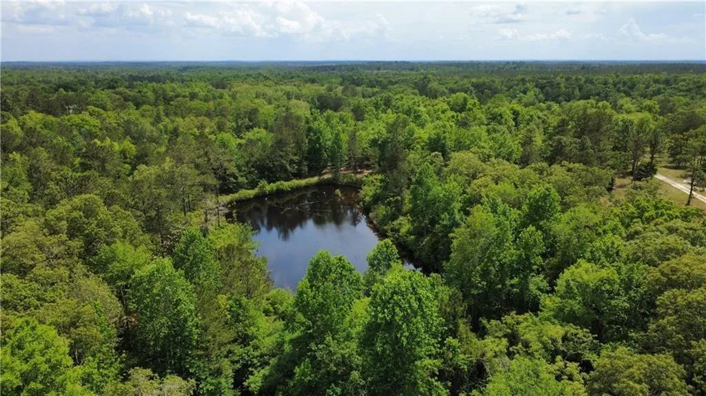 Additional image 14 of 5591 Sandfort Road, Seale, AL 36875