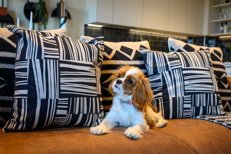 Additional image 5 of Belmont Row,
Birmingham,
B47RQ