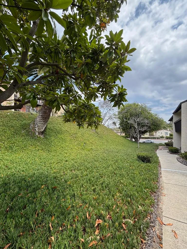 Additional image 31 of 3522 Fairlomas Drive, National City, CA 91950