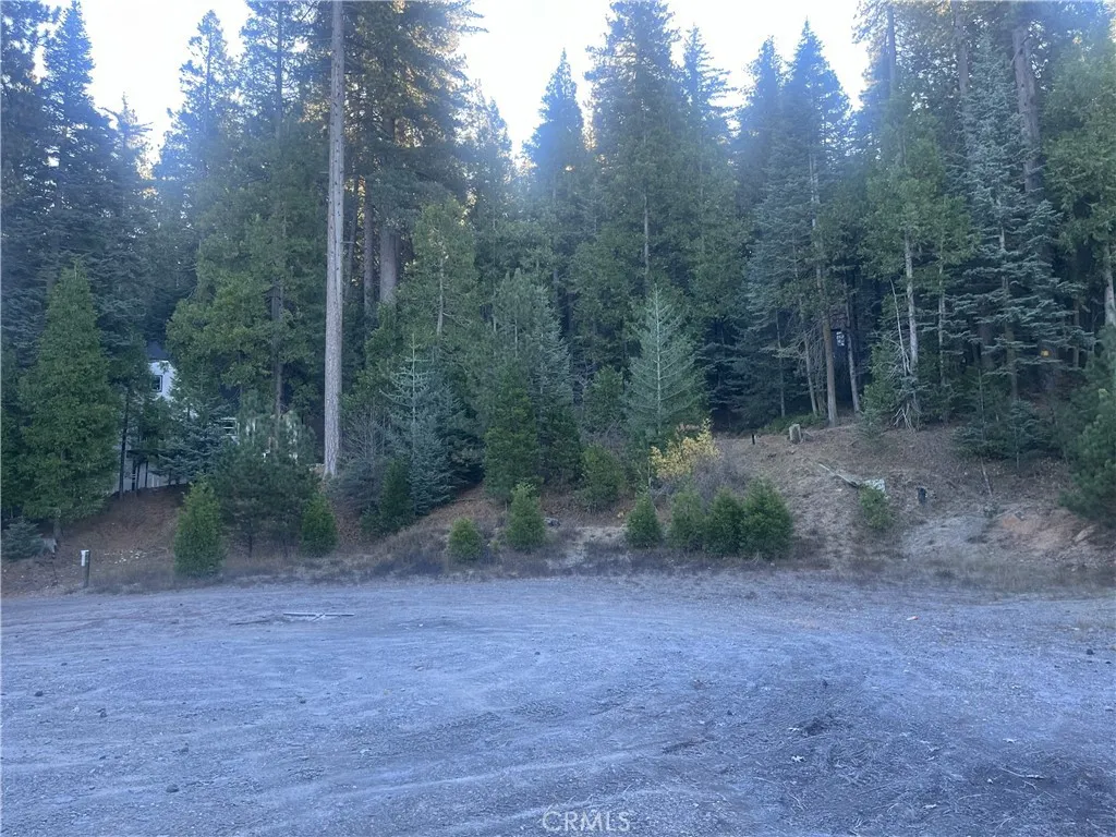 Property image for 27403 State Highway 189, Blue Jay, CA 92317