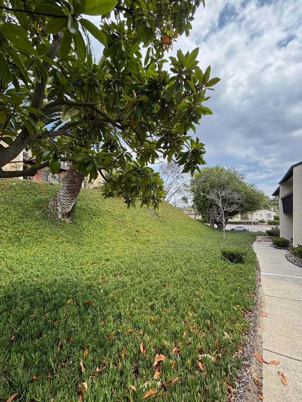 Additional image 11 of 3522 Fairlomas Drive, National City, CA 91950