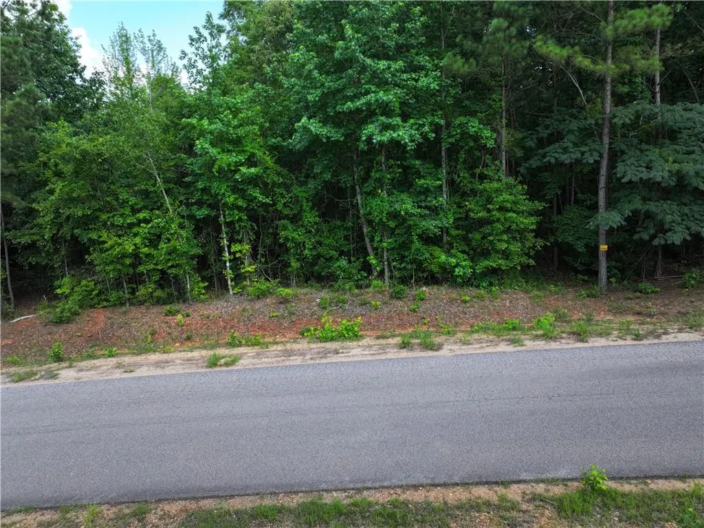 Additional image 4 of Lot 5 Lee Road 345, Salem, AL 36874