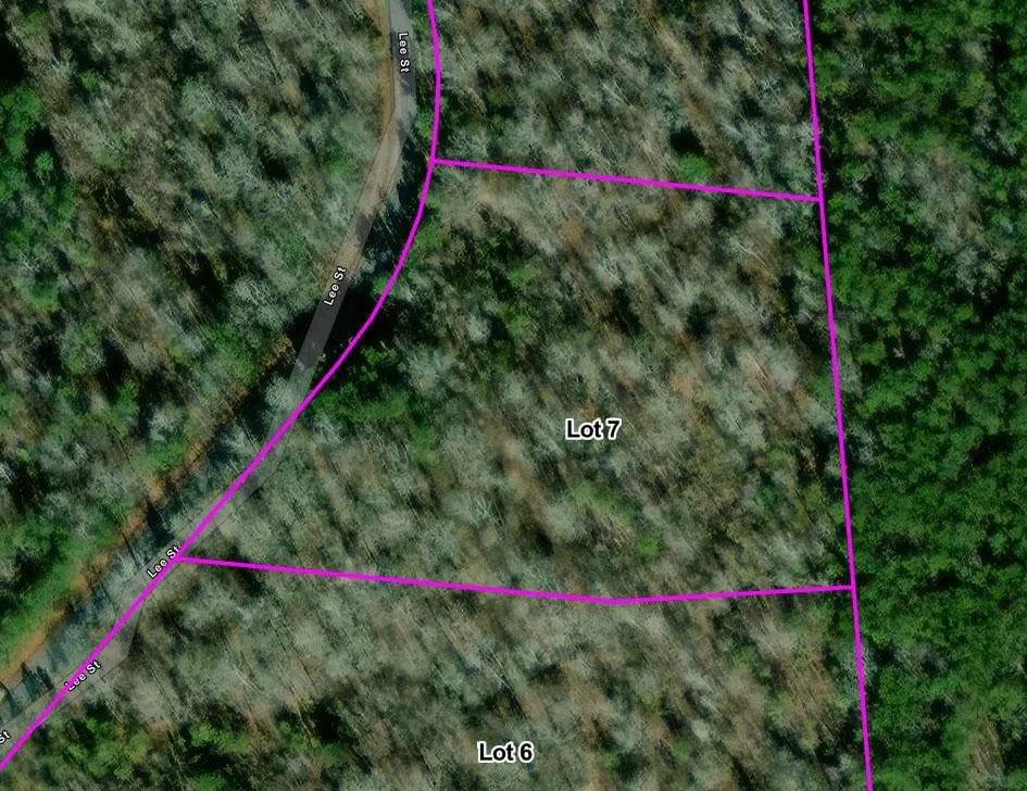 Additional image 7 of Lot 7 Lee Road 345, Salem, AL 36874