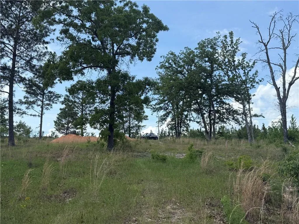 Additional image 9 of 5591 Sandfort Road, Seale, AL 36875