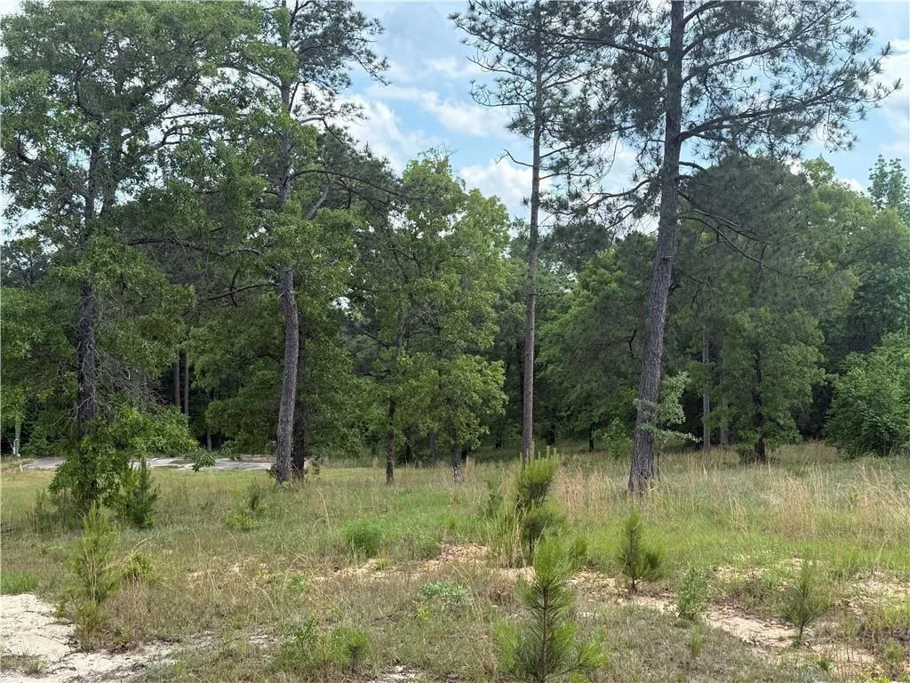 Additional image 8 of 5591 Sandfort Road, Seale, AL 36875