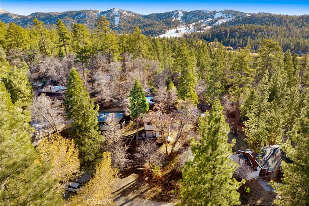 Additional image 51 of 43103 Grizzly Rd, Big Bear Lake, CA 92315