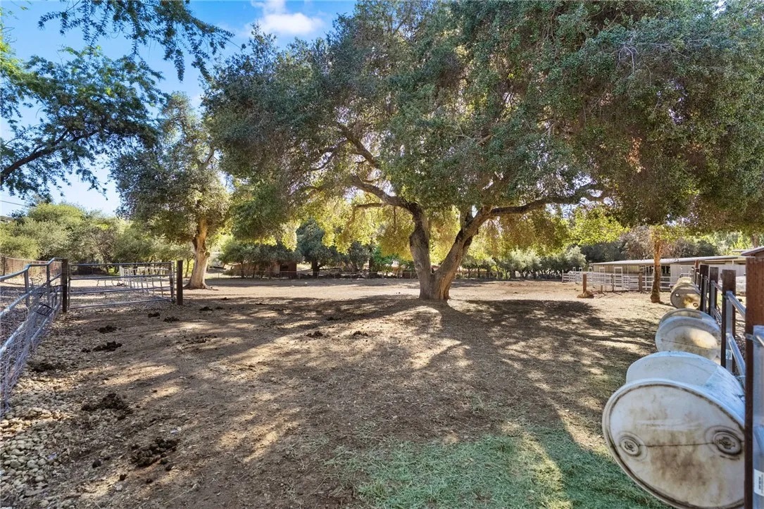 Additional image 97 of 17705 Rodeo Road, Ortega Mountain, CA 92530