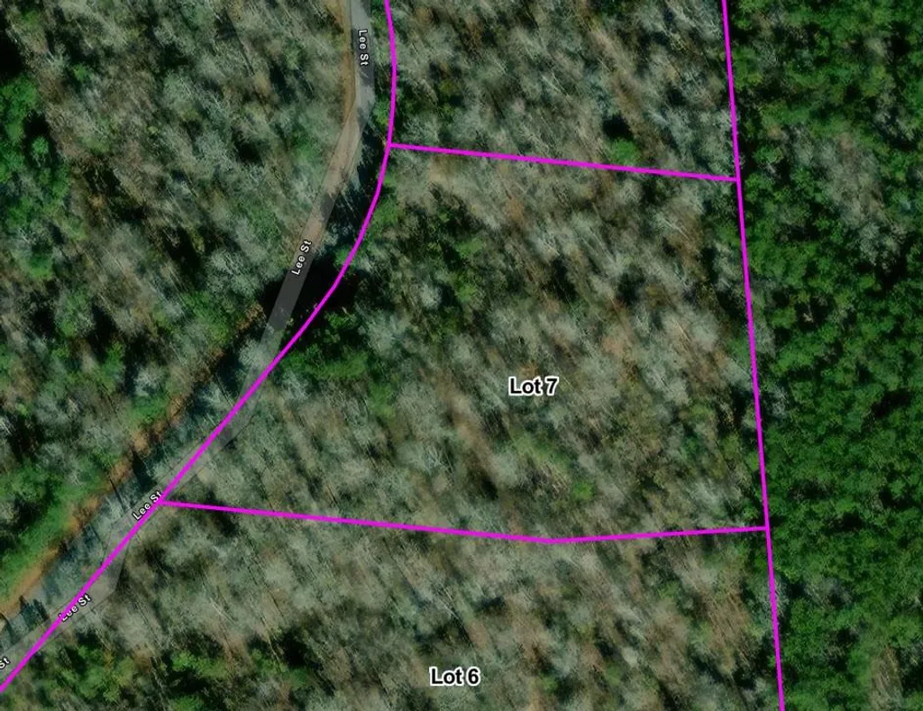 Additional image 3 of Lot 7 Lee Road 345, Salem, AL 36874