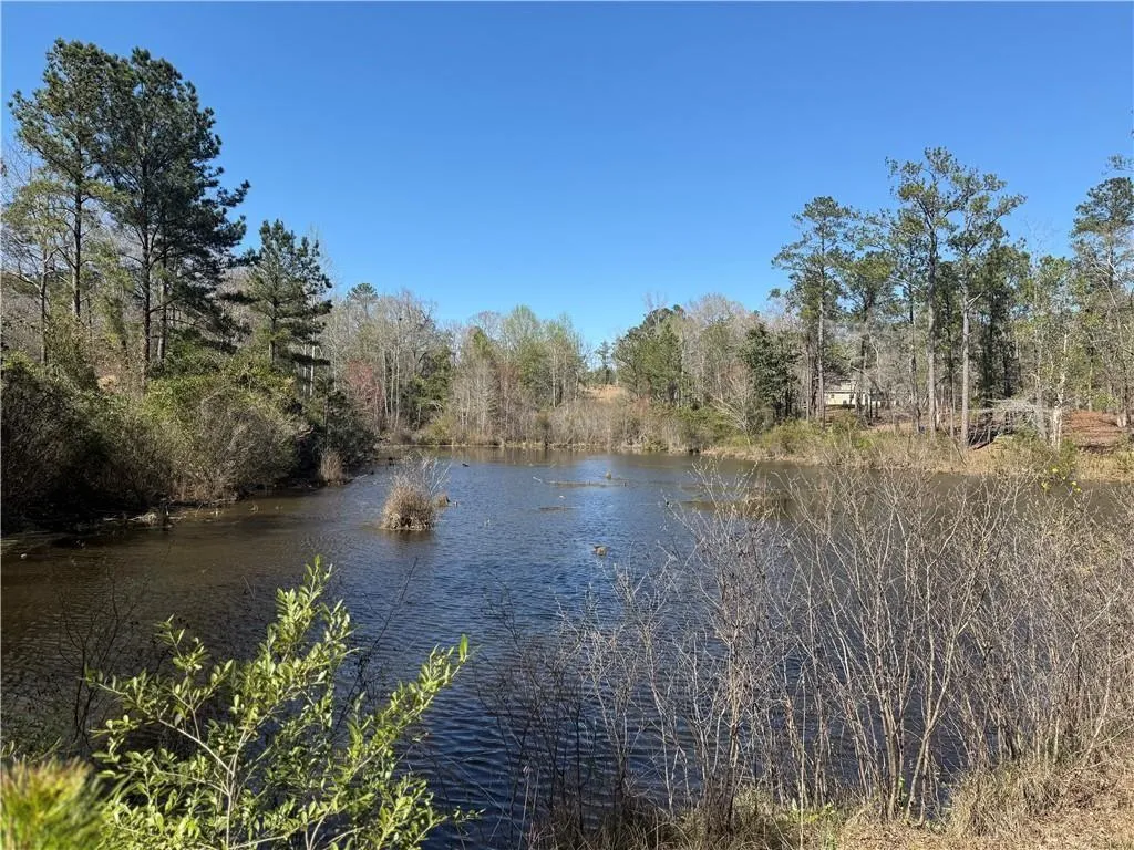 Additional image 13 of 5591 Sandfort Road, Seale, AL 36875