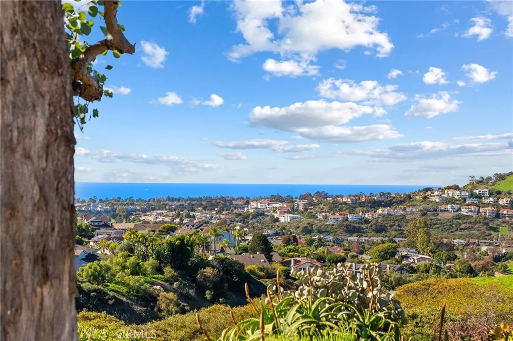 Additional image 97 of 2880 Calle Guadalajara, San Clemente, CA 92673