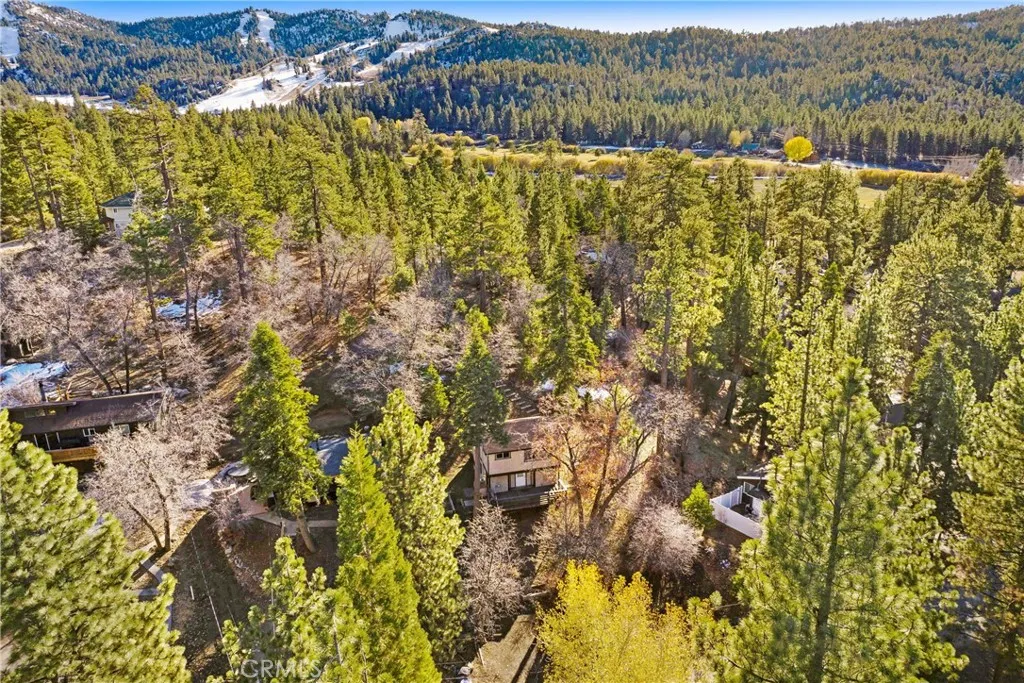 Additional image 22 of 43103 Grizzly Rd, Big Bear Lake, CA 92315
