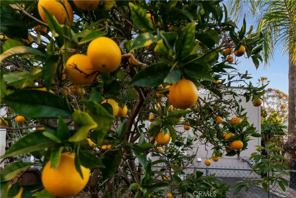 Additional image 27 of 6460 Convoy Ct #76, San Diego, CA 92117