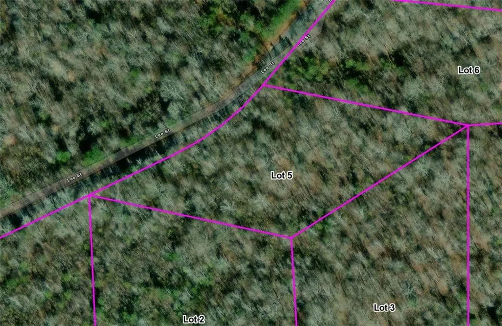 Additional image 3 of Lot 5 Lee Road 345, Salem, AL 36874