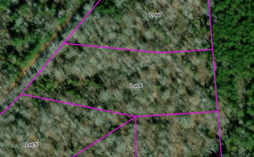 Property image for Lot 5 Lee Road 345, Salem, AL 36874