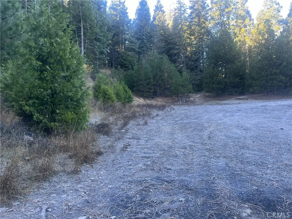Additional image 3 of 27403 State Highway 189, Blue Jay, CA 92317