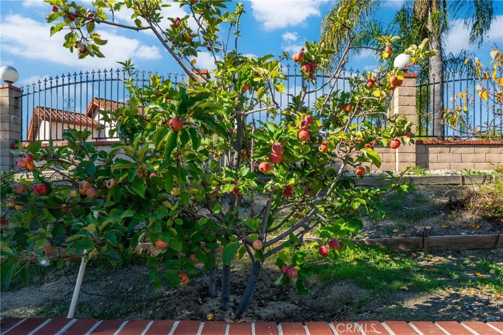 Additional image 33 of 24301 Sunnycrest Court, Diamond Bar, CA 91765