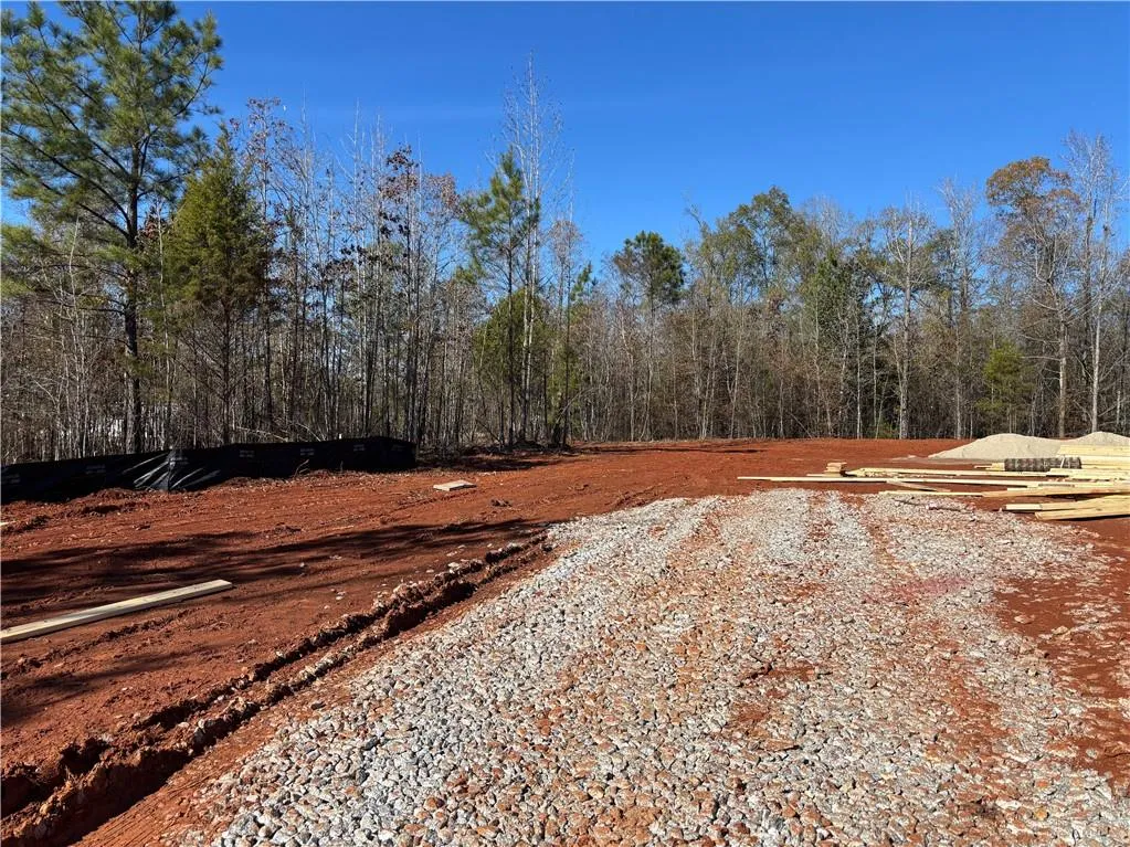 Additional image 15 of Lot 2 Lee Road 344, Salem, AL 36874