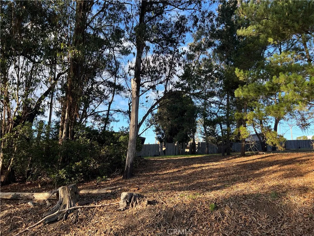 Additional image 6 of 1985 Wilton Drive, Cambria, CA 93428