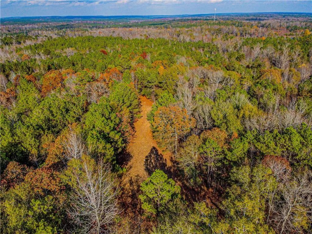 Additional image 31 of 6535 Lee Rd 175, Salem, AL 36874