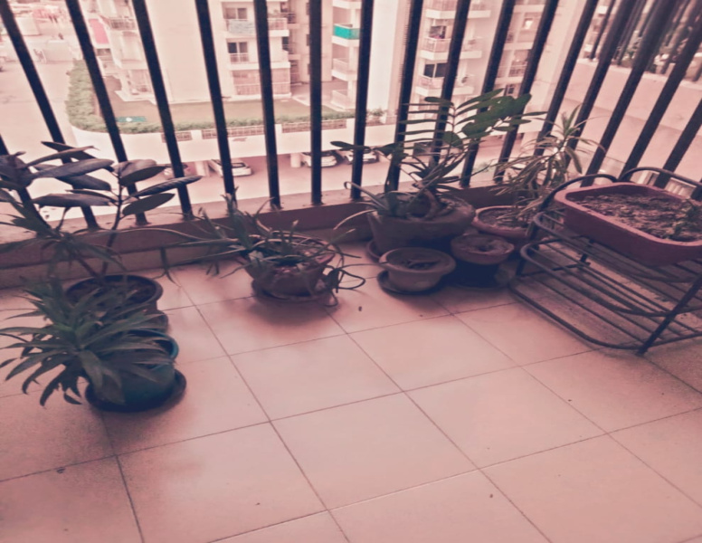 Additional image 3 of Indirapuram, Ghaziabad