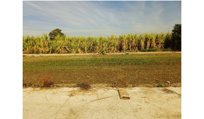 Additional image 3 of Resham Majri, Dehradun