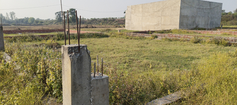 Additional image 2 of Tal Kandala, Gorakhpur