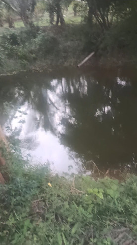 Additional image 3 of Pollachi, Coimbatore