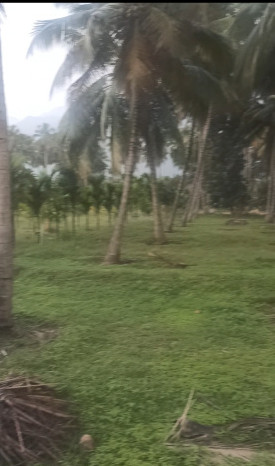 Additional image 2 of Pollachi, Coimbatore