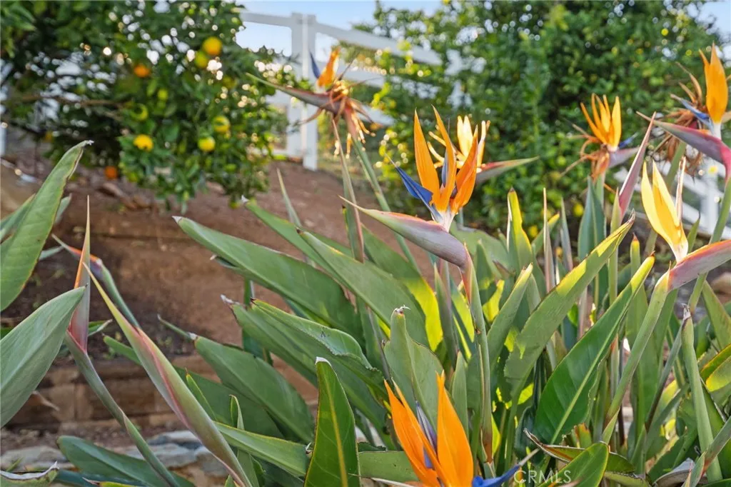 Additional image 58 of 40055 Valle Vista, Murrieta, CA 92562