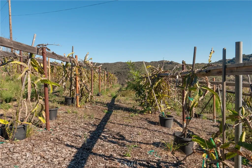 Additional image 53 of Address Not Available, Fallbrook, CA 92028