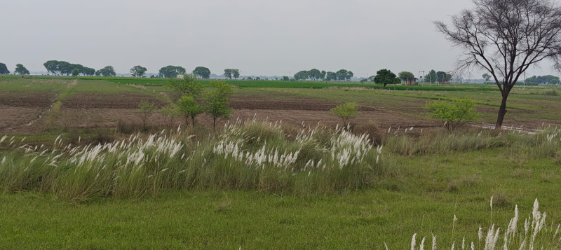 Property image for Chaubepur, Varanasi