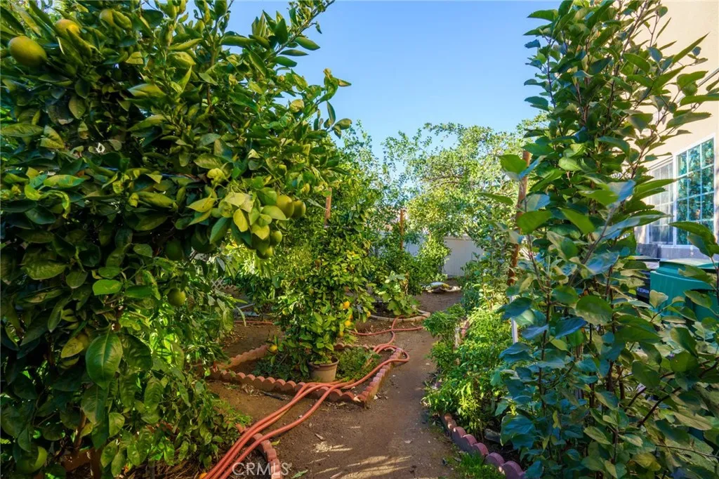 Additional image 54 of 1553 W Ceres St, Rialto, CA 92376