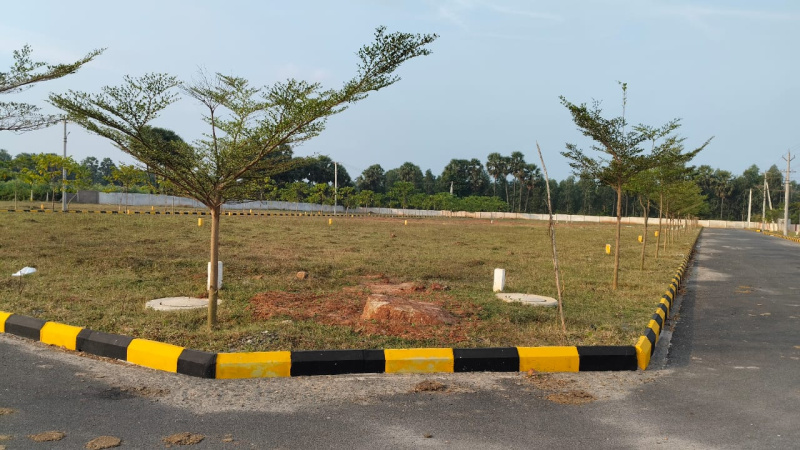 Bhogapuram, Visakhapatnam