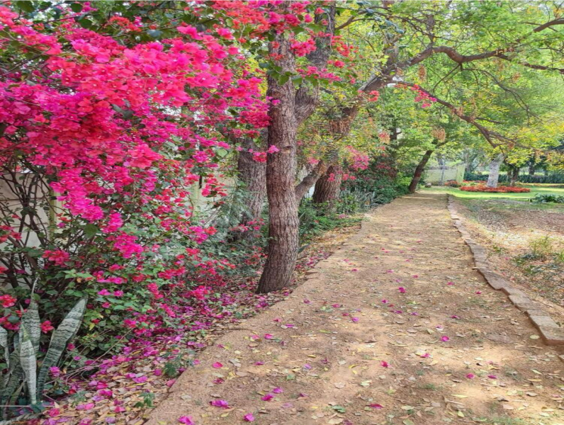 Additional image 2 of Sushant Lok Phase I, Gurgaon