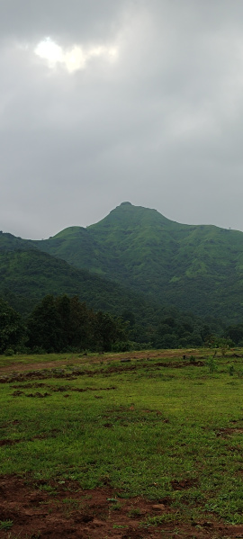 Additional image 3 of Velhe, Pune