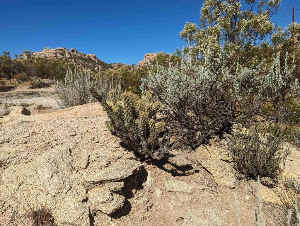 Additional image 18 of 42084 Old Highway 80, Jacumba, CA 91934