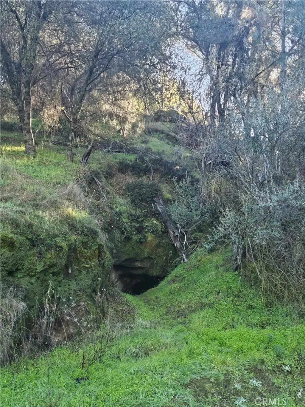 Additional image 39 of 50814 Road 200, O'Neals, CA 93645