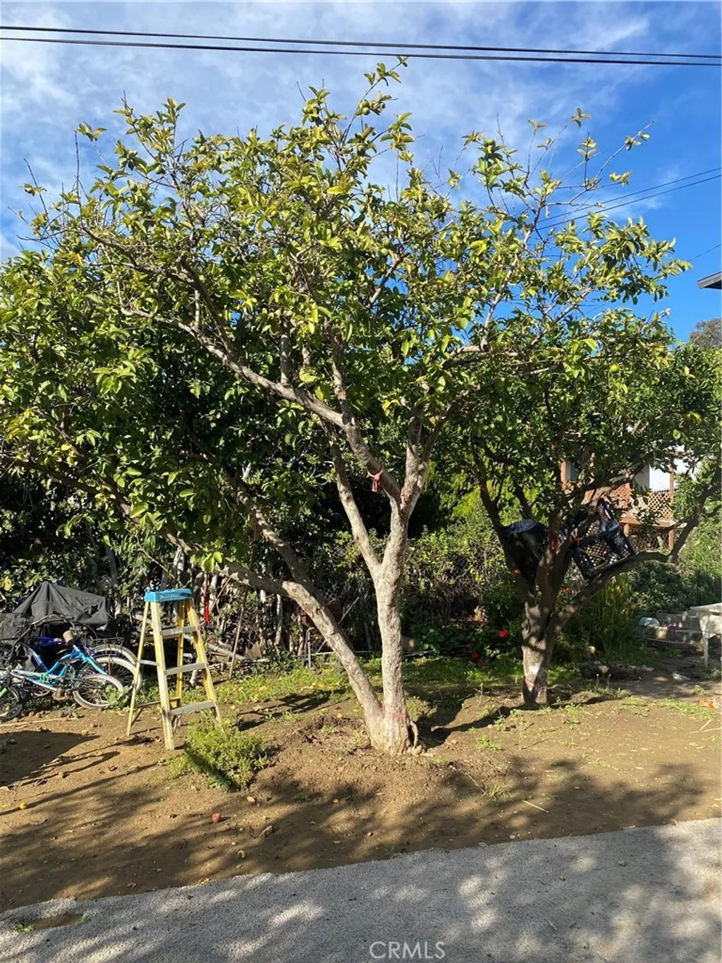 Additional image 24 of 1129 N Alma Avenue, Los Angeles, CA 90063