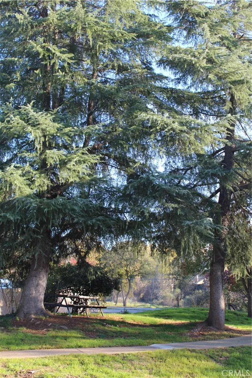 Additional image 74 of 985 Jonell Lane, Chico, CA 95926