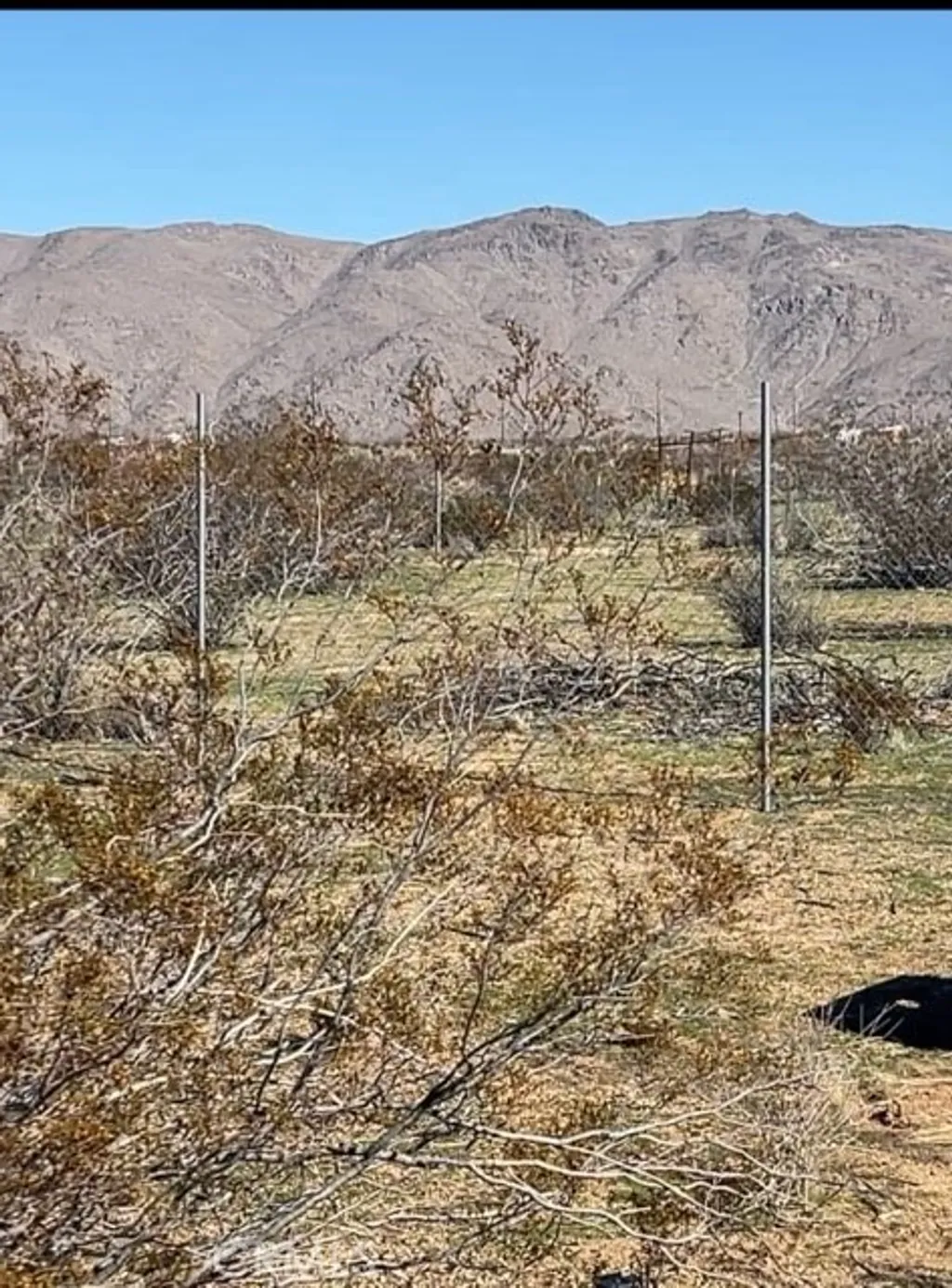 Additional image 4 of 11061 Tujunga Dr, Apple Valley, CA 92308