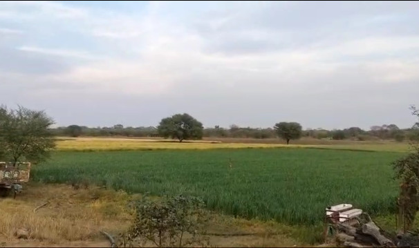 Additional image 3 of Mavli, Udaipur