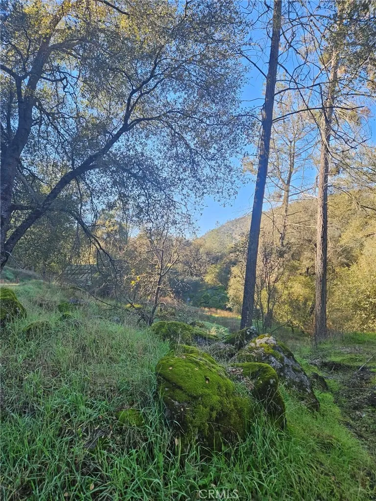 Additional image 73 of 50814 Road 200, O'Neals, CA 93645