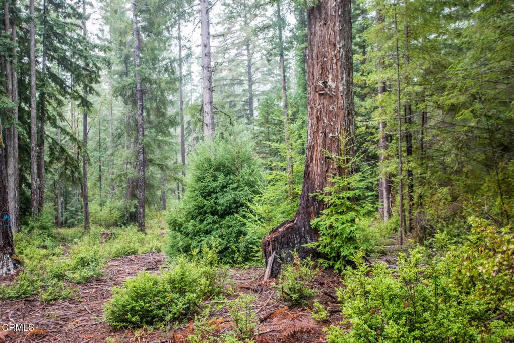 Additional image 31 of 11091 Irmulco Road, Willits, CA 95490