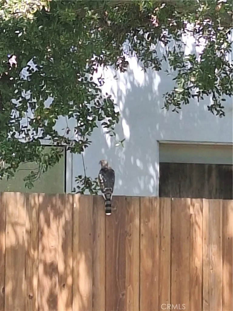 Additional image 78 of 11944 Briarvale Lane, Studio City, CA 91604