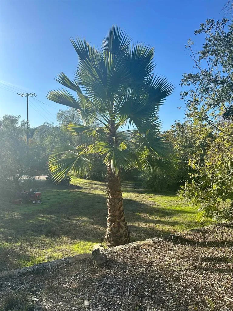 Additional image 44 of 2758 Kauana Loa Dr, Escondido, CA 92029