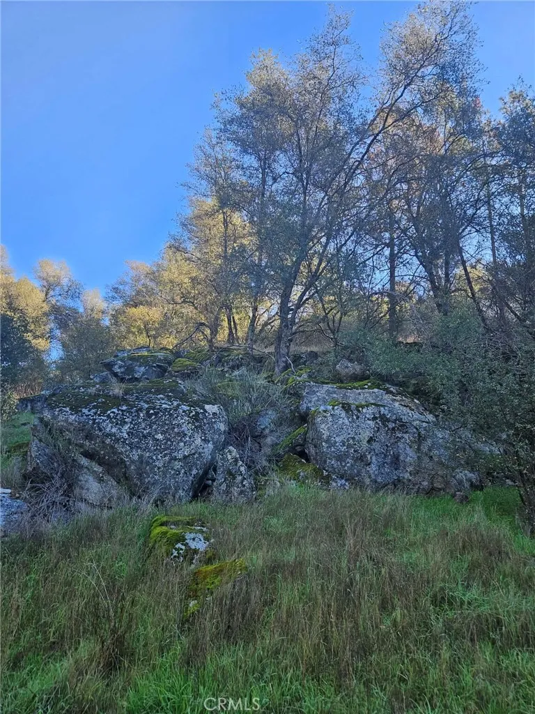 Additional image 98 of 50814 Road 200, O'Neals, CA 93645