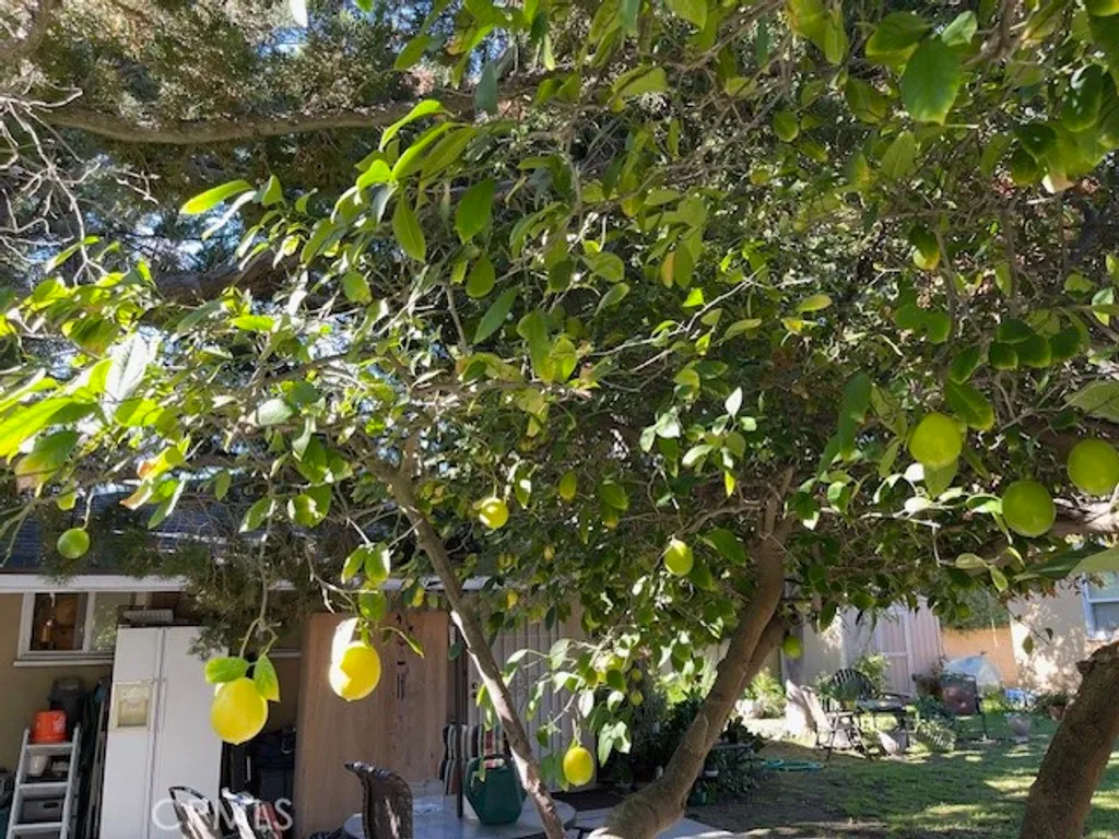 Additional image 38 of 13430 Oxnard St, Valley Glen, CA 91401