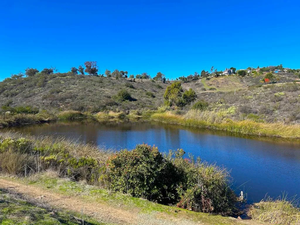 Additional image 64 of 1347 Avenida Pantera, San Marcos, CA 92069