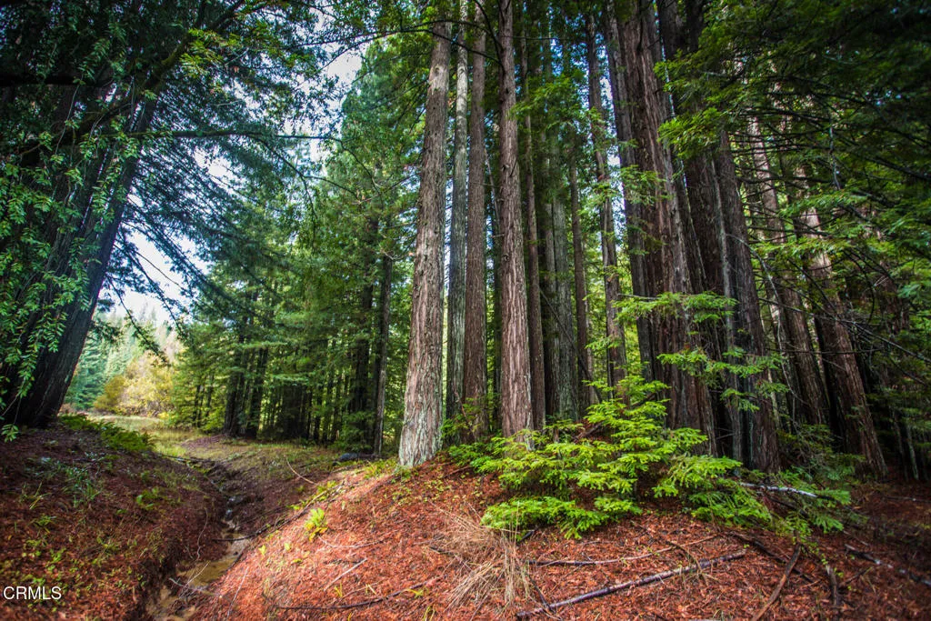 Additional image 52 of 11091 Irmulco Road, Willits, CA 95490